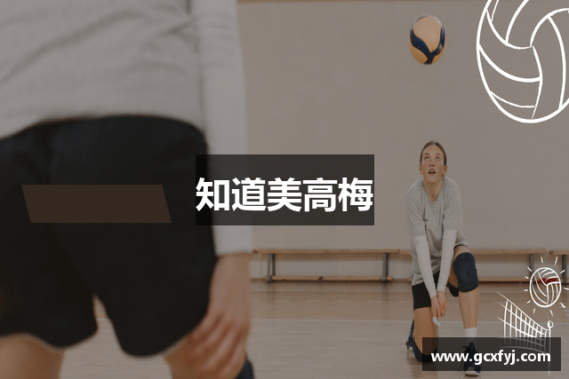 知道美高梅